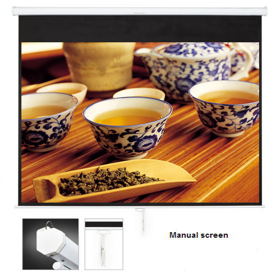 SNOWHITE Manual Professional Plus pull down projection screen