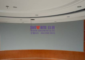 Snowhite Projection Screen in the Meeting Room
